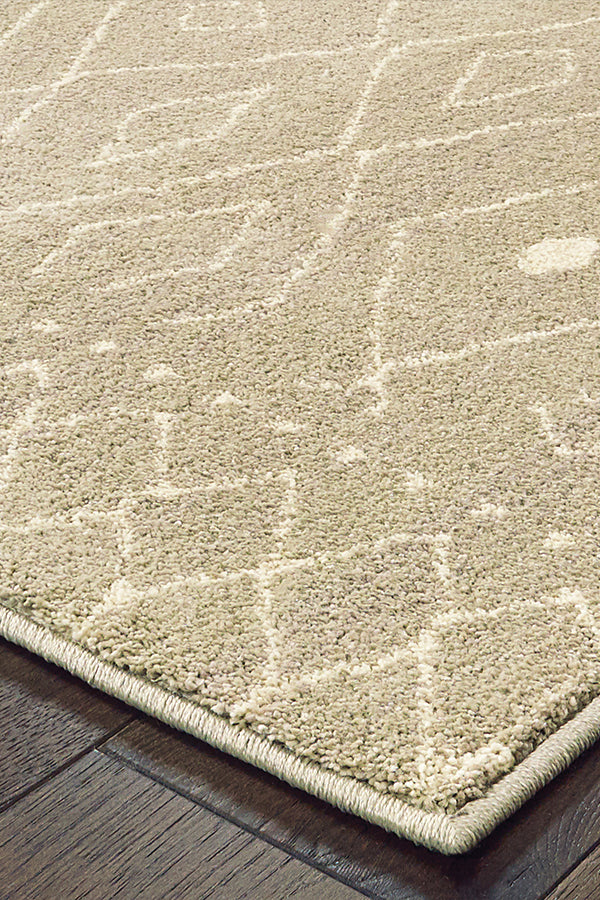 100% Polypropylene Vintage  Indoor Area Rug