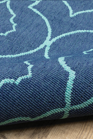 100% Polypropylene Vintage  Indoor/Outdoor Area Rug
