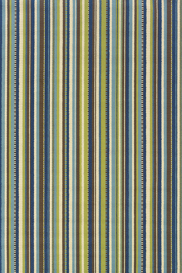 100% Polypropylene Vintage  Indoor/Outdoor Area Rug