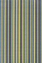100% Polypropylene Vintage  Indoor/Outdoor Area Rug