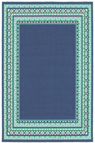 100% Polypropylene Vintage  Indoor/Outdoor Area Rug
