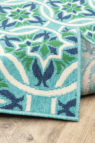 100% Polypropylene Vintage  Indoor/Outdoor Area Rug