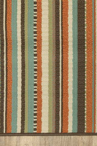 100% Polypropylene Vintage  Indoor/Outdoor Area Rug