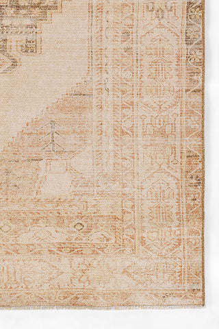 Cotton and Polyester Rectangle Indoor Area Rug