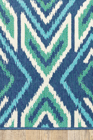 100% Polypropylene Vintage  Indoor/Outdoor Area Rug