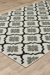 100% Polypropylene Vintage  Indoor/Outdoor Area Rug