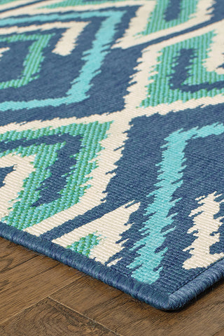 100% Polypropylene Vintage  Indoor/Outdoor Area Rug