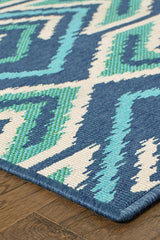 100% Polypropylene Vintage  Indoor/Outdoor Area Rug
