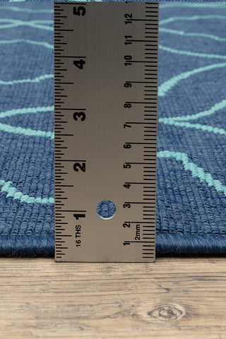 100% Polypropylene Vintage  Indoor/Outdoor Area Rug