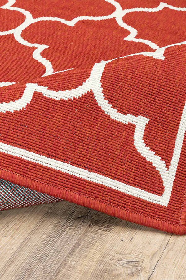 100% Polypropylene Vintage  Indoor/Outdoor Area Rug