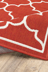 100% Polypropylene Vintage  Indoor/Outdoor Area Rug