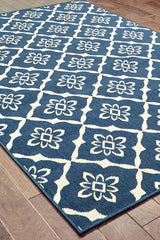 100% Polypropylene Vintage  Indoor/Outdoor Area Rug