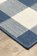 100% Polypropylene Vintage  Indoor/Outdoor Area Rug