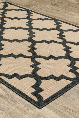 100% Polypropylene Vintage  Indoor/Outdoor Area Rug