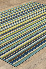 100% Polypropylene Vintage  Indoor/Outdoor Area Rug