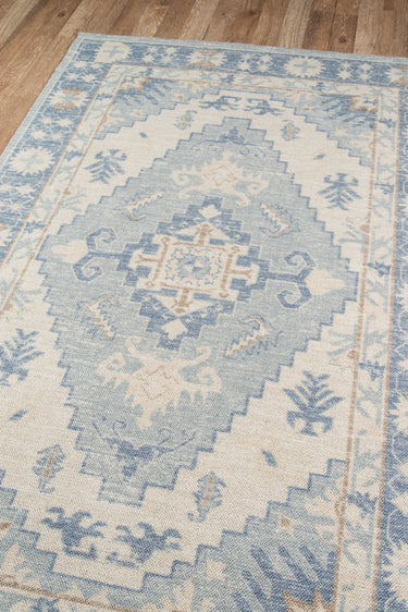 Blue Traditional area rug 9'9" X 12 - close-up of pattern and texture