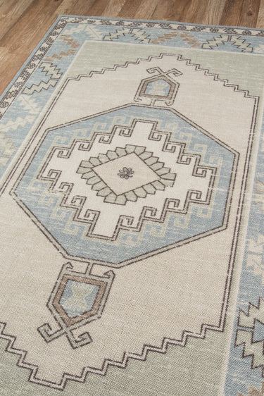 Blue Medallion area rug 6'6" X 9 - close-up of pattern and texture