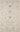 Beige Oriental area rug 6'6" X 9 - styled in a living room