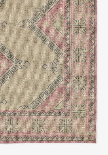 Pink Traditional area rug 2'3" X 7 - close-up of pattern and texture