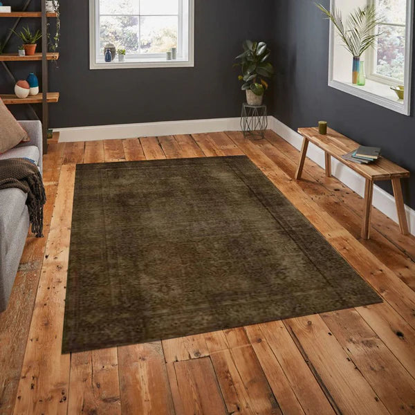 Brown Overdyed Area Rug - AR2951