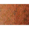 Brown Overdyed Area Rug - AR2927