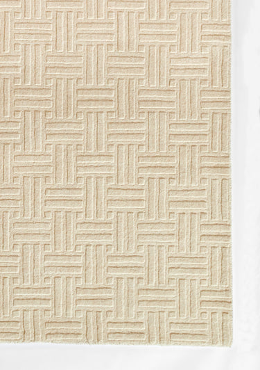 Ivory Wool area rug 5' X 8' - close-up of pattern and texture