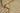 Ivory Wool area rug 10' X 14' - full product view on white background
