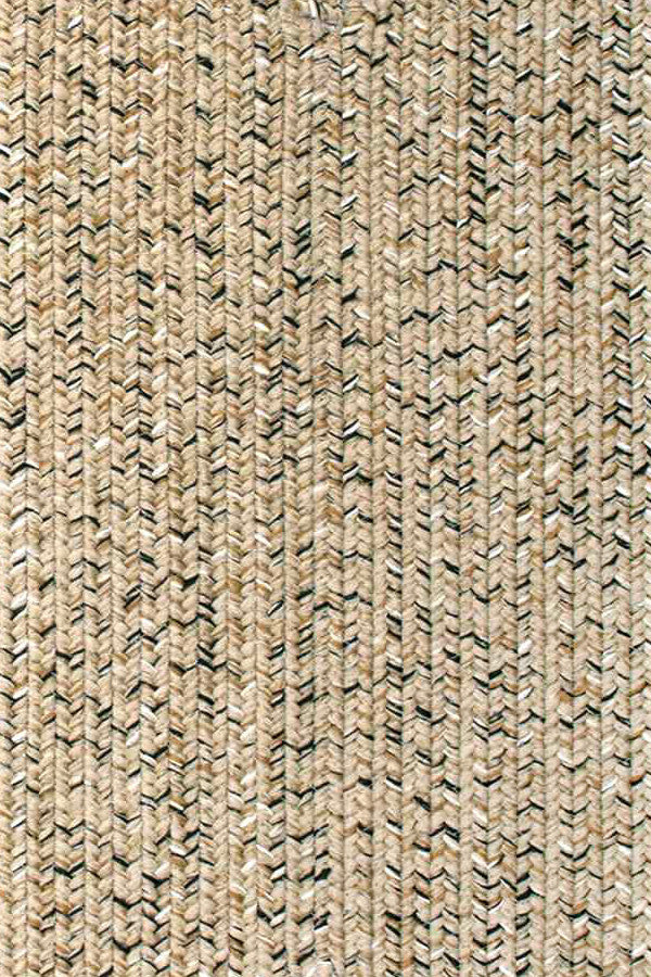 Sea Glass Shell Area Rug