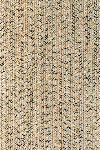 Sea Glass Shell Area Rug