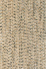 Sea Glass Shell Area Rug
