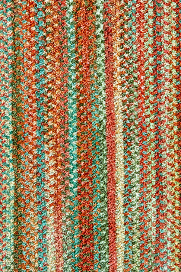 Cottonstone Cactus Garden Area Rug