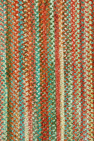 Cottonstone Cactus Garden Area Rug