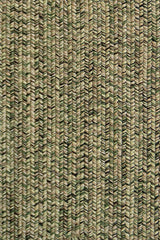 Dockside Palm Leaf Area Rug