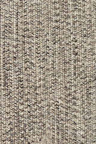 Dockside Driftwood Area Rug