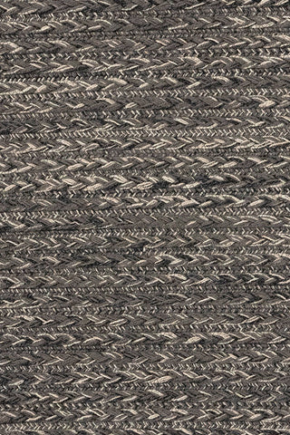 Down East Sand Dollar Area Rug