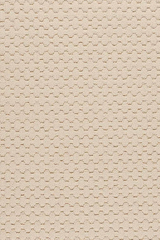Creative Concepts-Sugar Mtn. Canvas Charcoal Area Rug