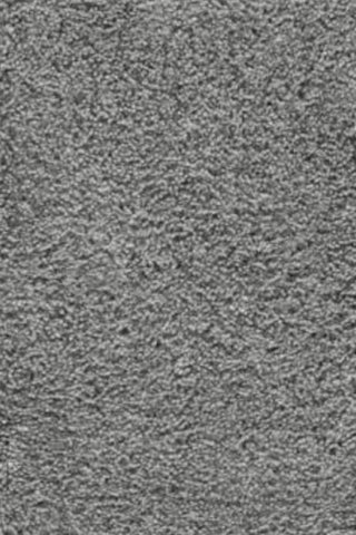 Felicity Shag Silver Area Rug