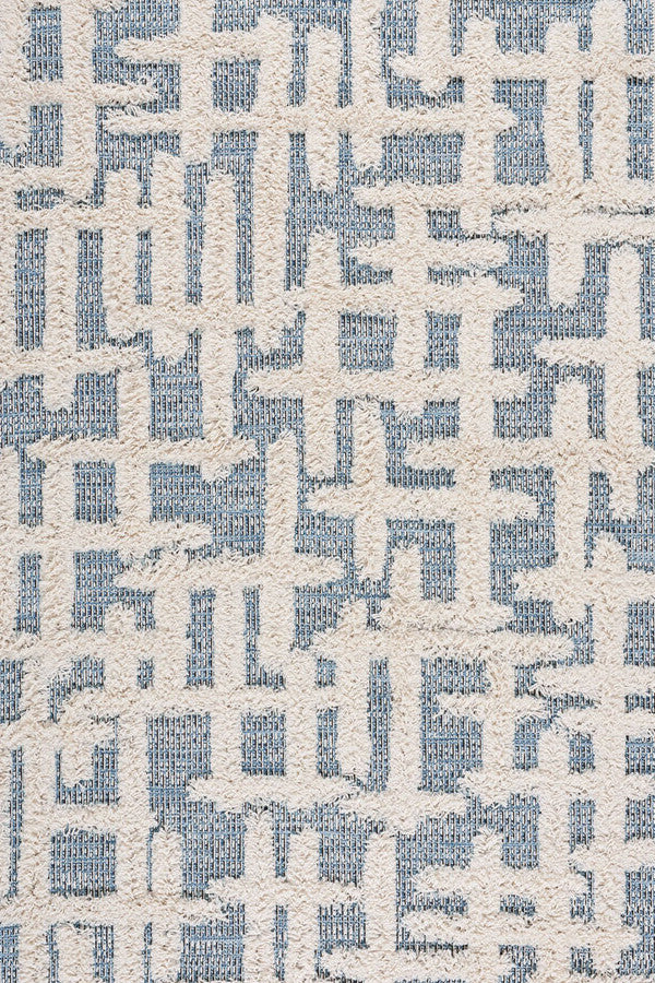 Raza Denim Area Rug