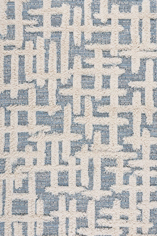 Raza Denim Area Rug