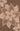 Brown Wool area rug 8' X 10' - styled in a living room