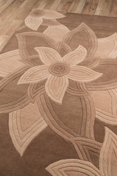 Brown Wool area rug 5' X 8' - close-up of pattern and texture