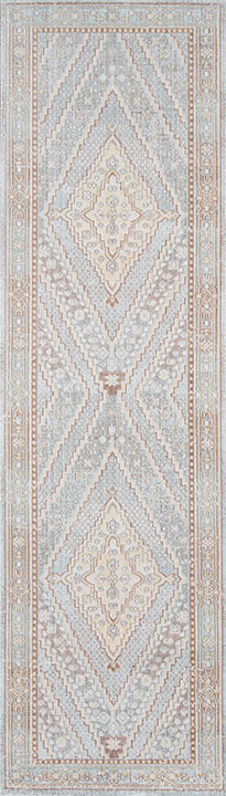 ISA Collection Area Rug – Traditional Medallion, Low-Pile & Durable