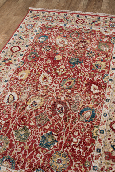 Red area rug 7'6" X 9 - close-up of pattern and texture