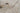 Morgan Beige Area Rug - MRN-2 Machine - Made, 7'10" X 10'10"