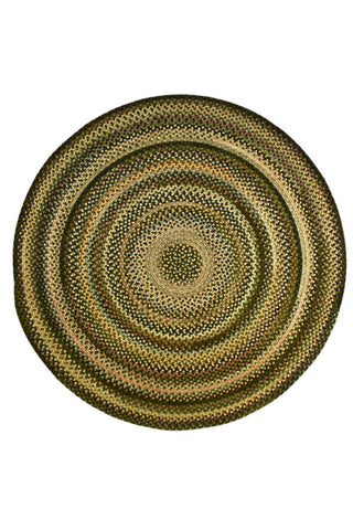 Uwharrie Ridge Forest Path Area Rug