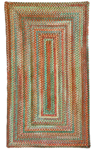 Cottonstone Cactus Garden Area Rug