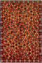 Multi-Color Baluchi Area Rug - AR1760