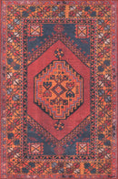 Multi-Color Traditional Area Rug - AR5975