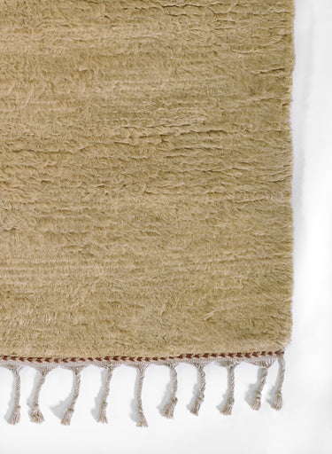 Wool area rug 2' X 3' - close-up of pattern and texture