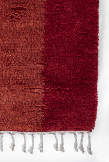 Red Wool area rug 2'6" X 8 - close-up of pattern and texture